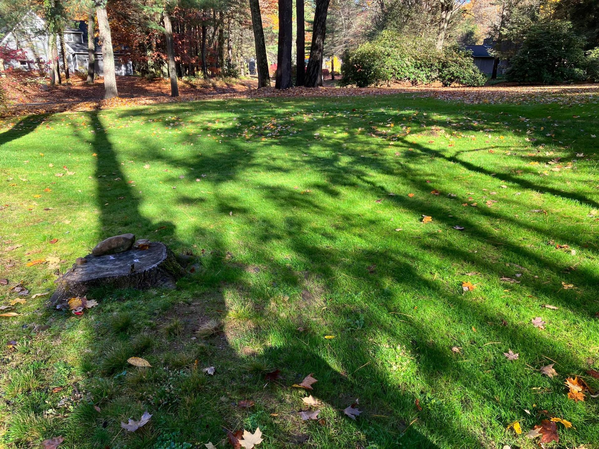 A lush green lawn with a tree stump in the middle of it.