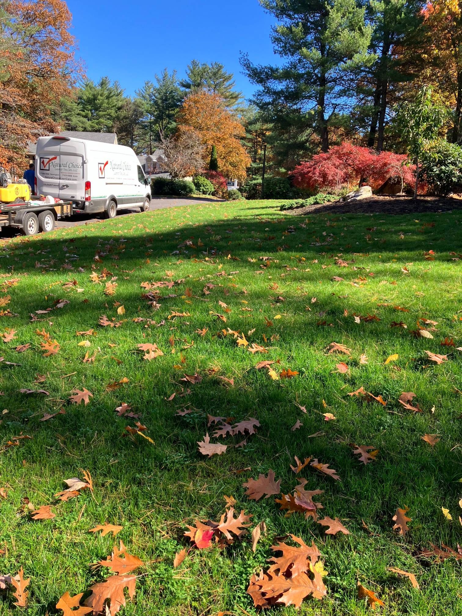 A white van is parked in the middle of a lush green field.