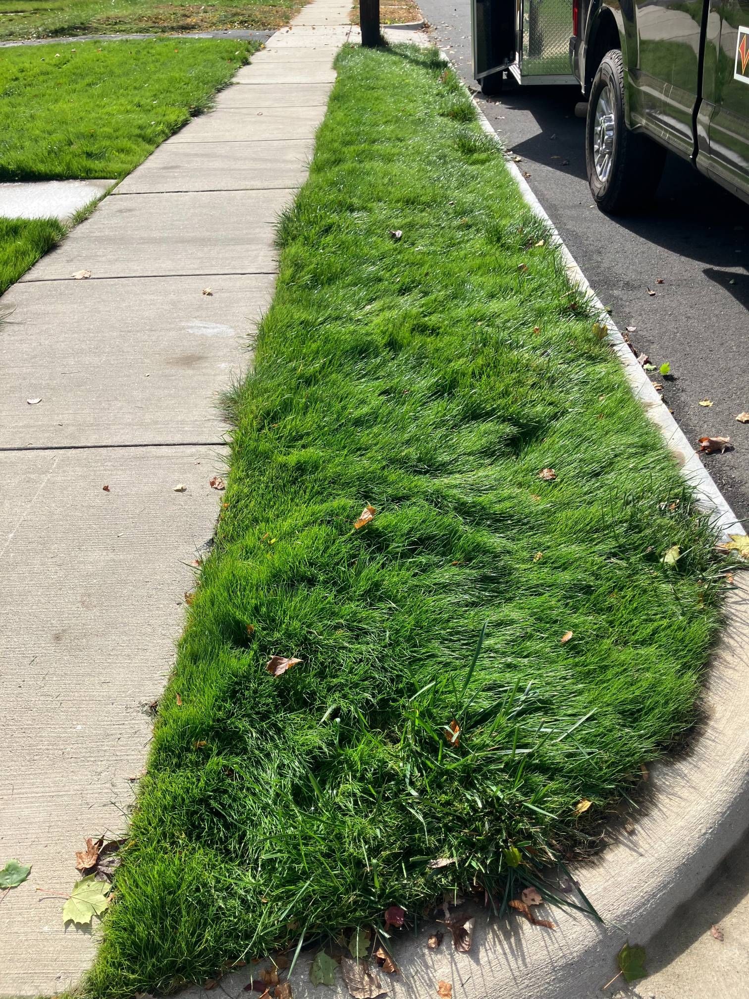 A sidewalk with a lot of grass on it and a truck parked on the side of the road.