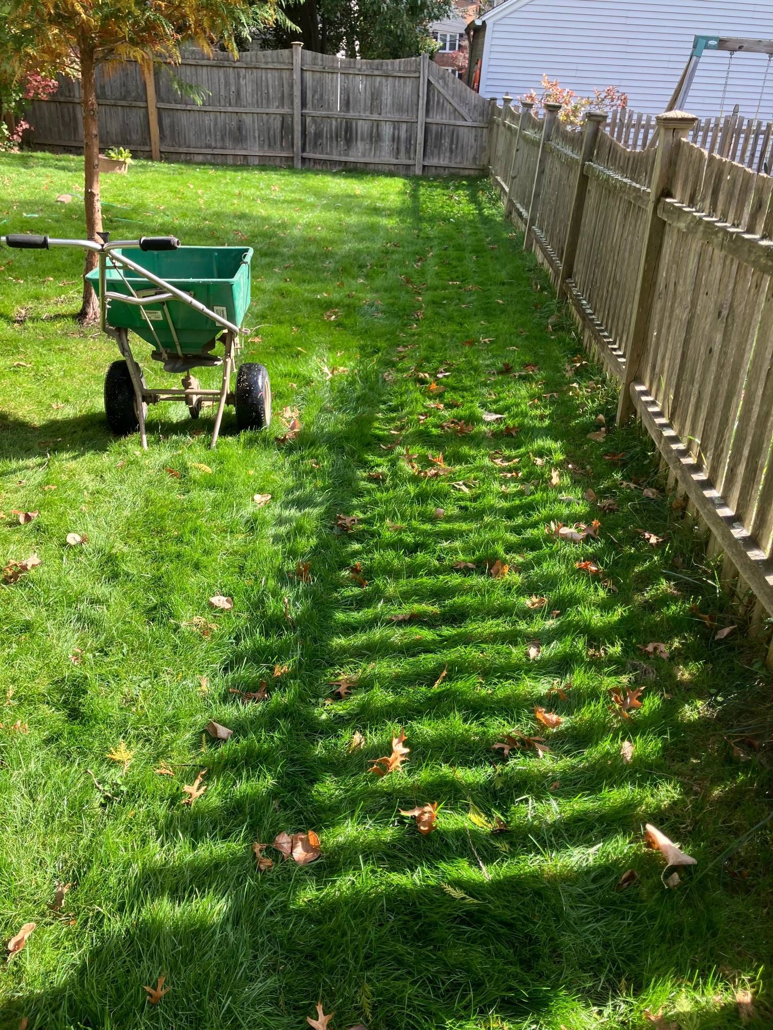 A green wheelbarrow is sitting on top of a lush green lawn next to a wooden fence.