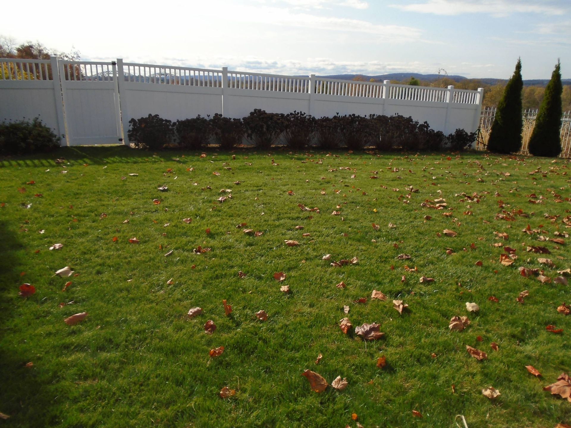 A white fence surrounds a lush green yard