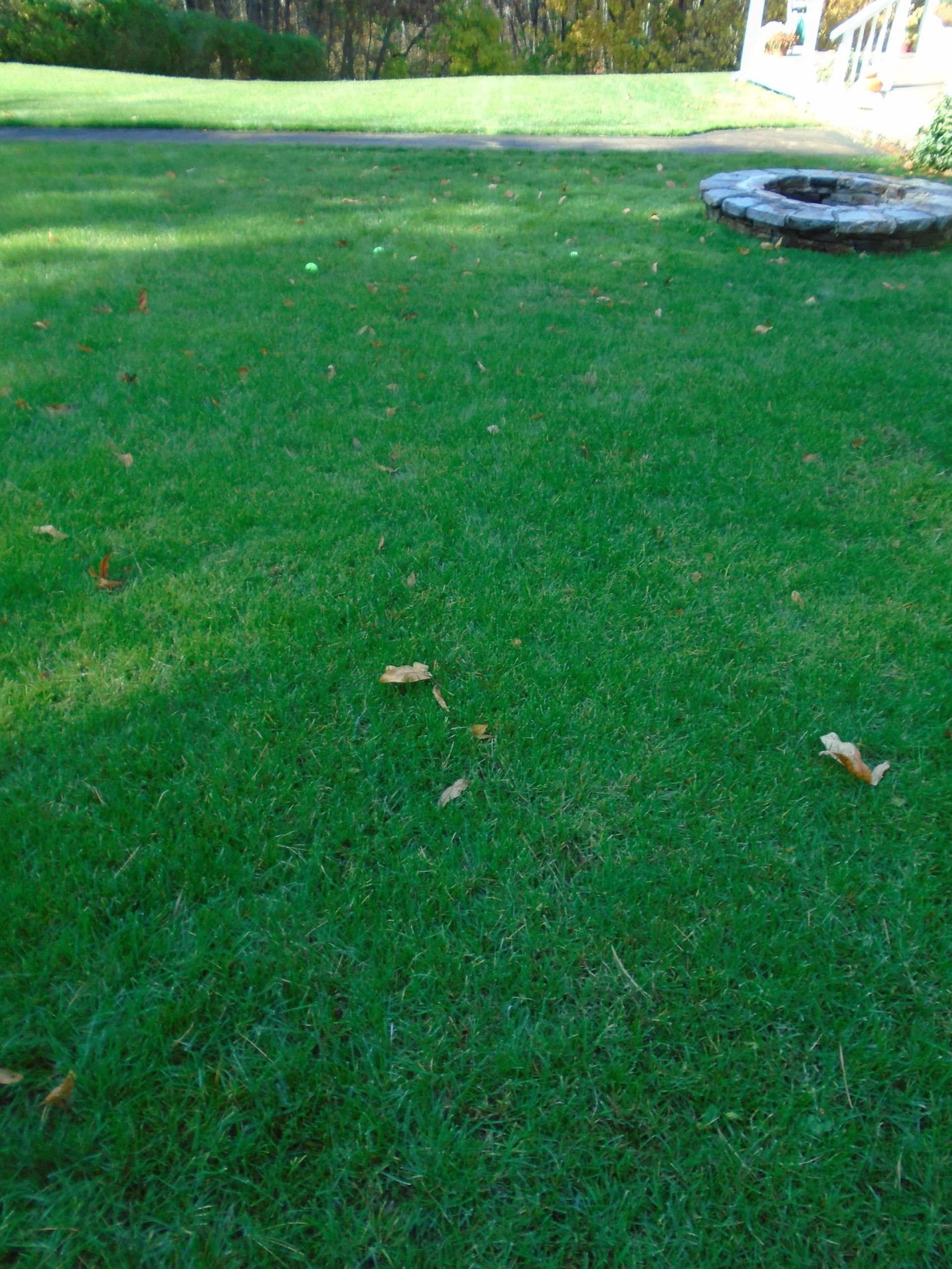 A lush green lawn with a fire pit in the middle of it.