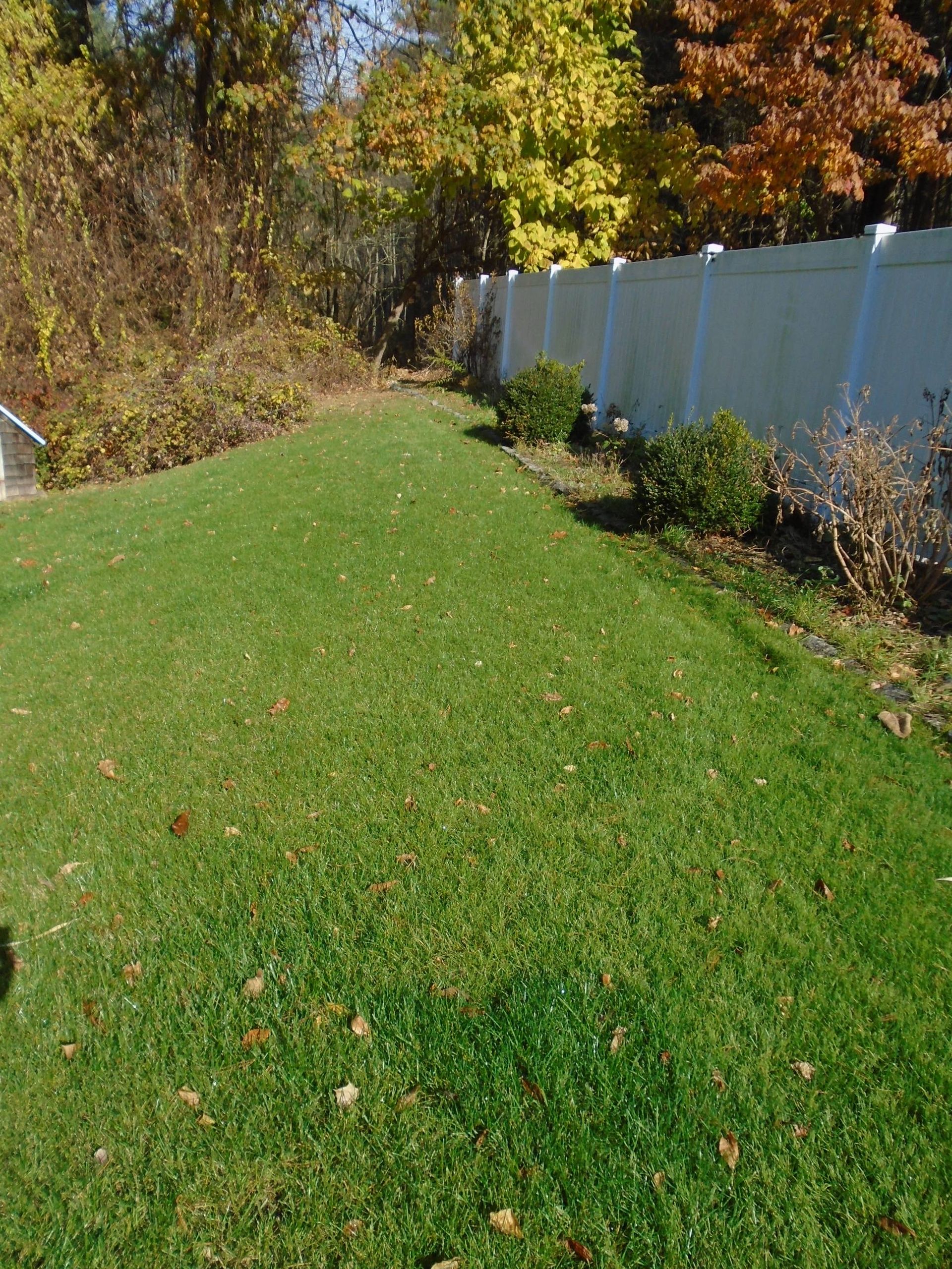 A lush green lawn with a white fence in the background.