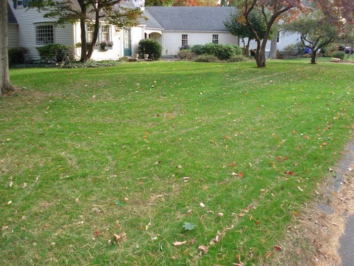 A lush green lawn with a white house in the background