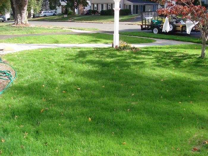 A green golf cart is parked in the grass in front of a house