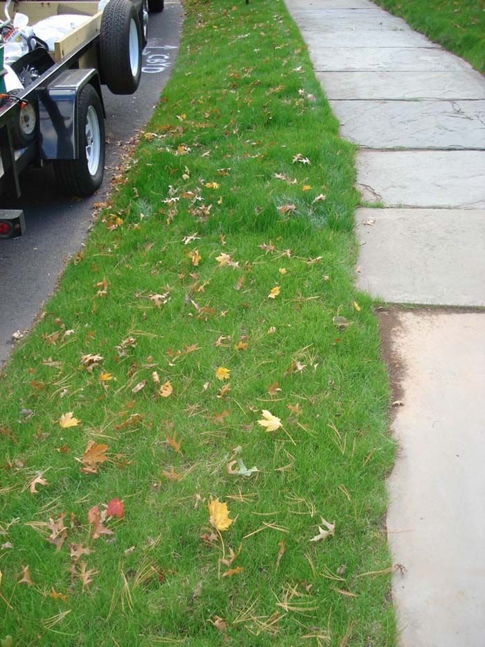 A trailer is parked on the side of the road next to a sidewalk