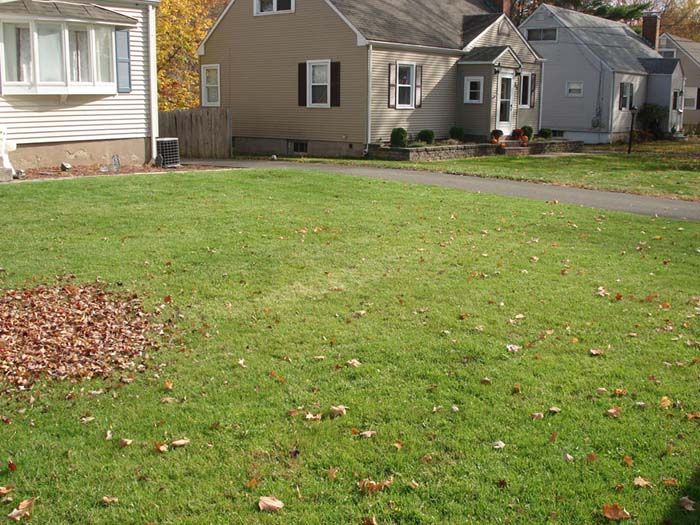 A house with a large lawn in front of it