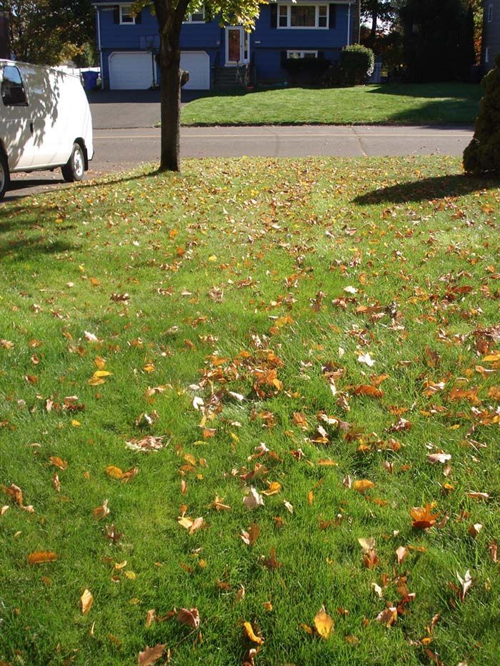 A white van is parked on a lush green lawn