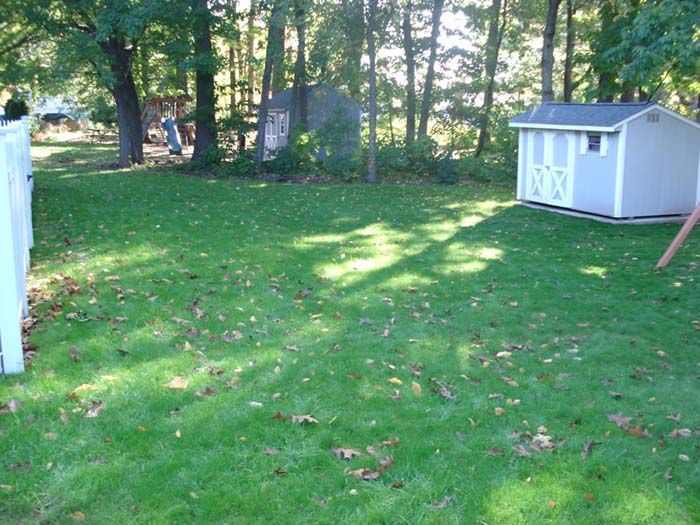 A white shed sits in the middle of a lush green yard