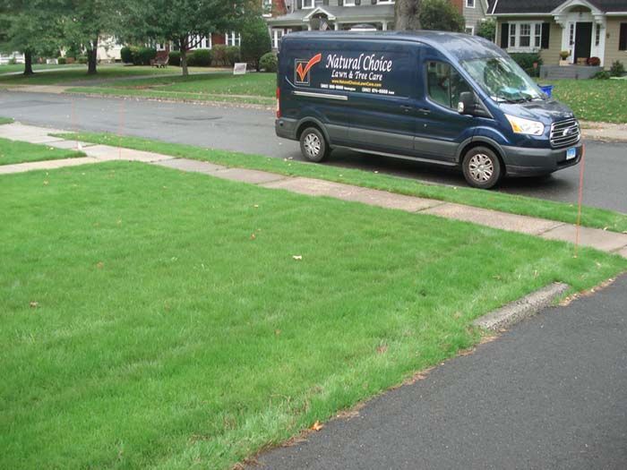 A natural choice van is parked on the side of the road