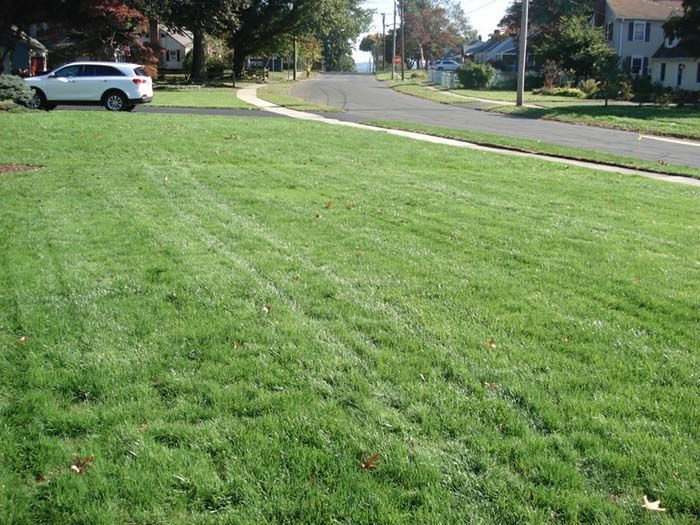 A white suv is parked on the side of a lush green lawn.