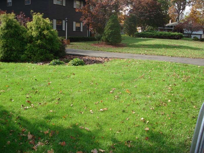 A lush green lawn with a black house in the background