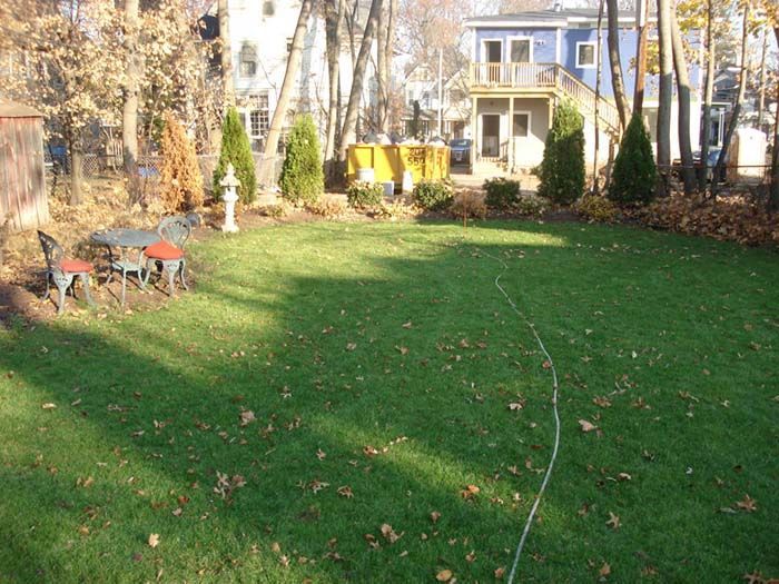 A lush green backyard with a yellow dumpster in the background