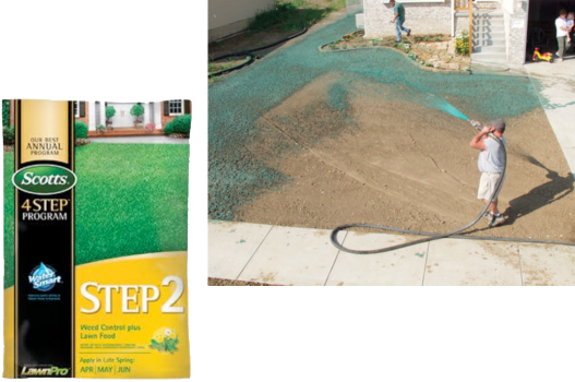 A man is spraying a lawn with scotts step 2