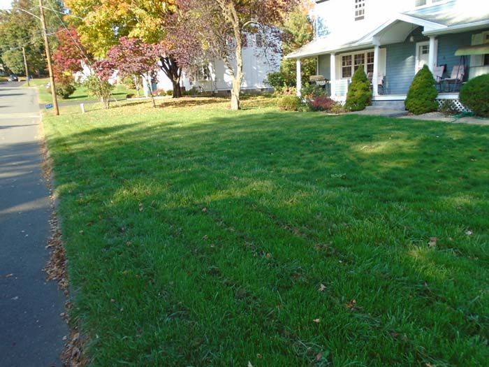 A lush green lawn in front of a house