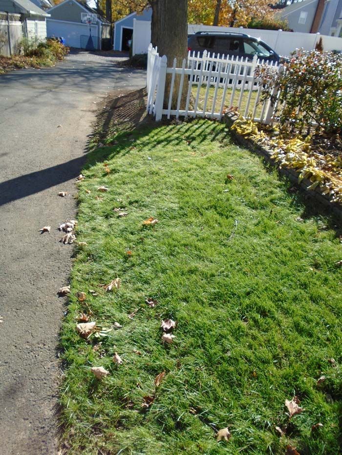 A white picket fence surrounds a lush green lawn.