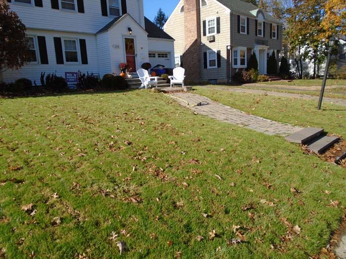 A house with a lush green lawn in front of it