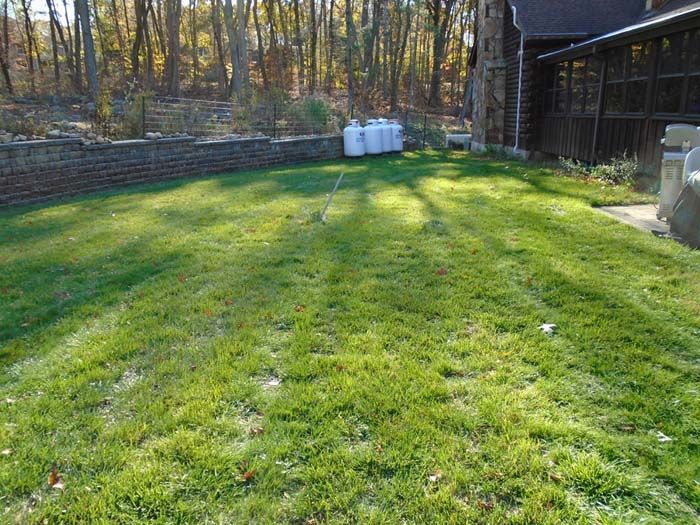 A large lush green lawn in front of a house.