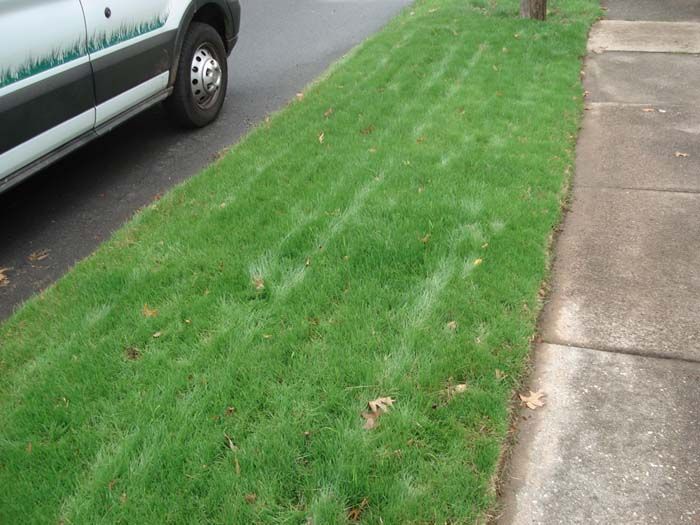A white van is parked on the side of the road next to a lush green lawn.
