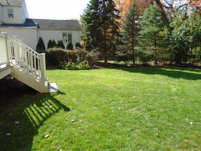 A lush green yard with a white deck and stairs