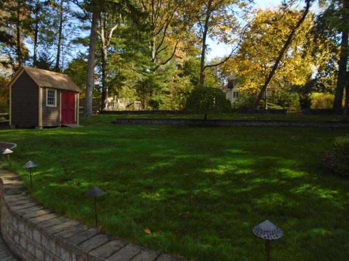 A red shed sits in the middle of a lush green yard