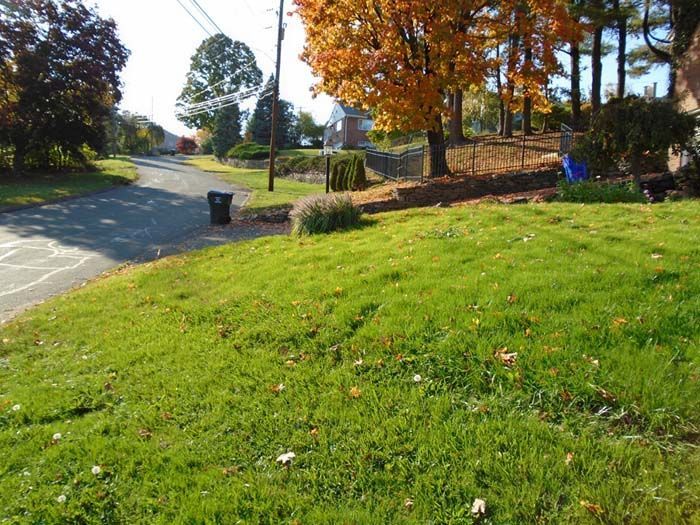 A lush green yard with trees and a road in the background