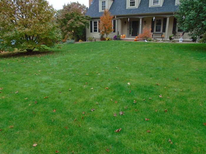 A large lush green lawn in front of a house.