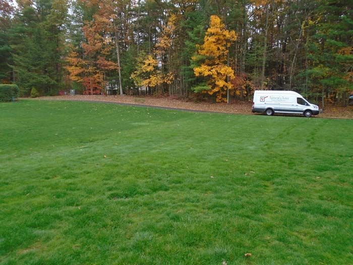 A white van is parked in the middle of a lush green field.