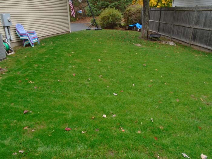 A backyard with a wooden fence and a lush green lawn.