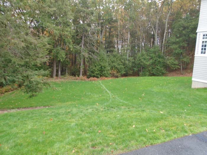A large lawn with trees in the background and a house in the background.