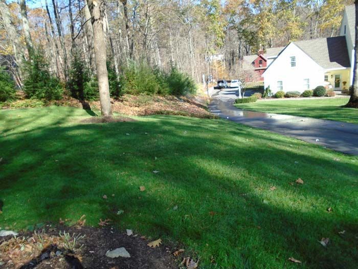 A lush green lawn with a white house in the background