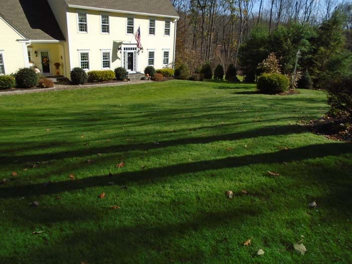 A large house with a lush green lawn in front of it