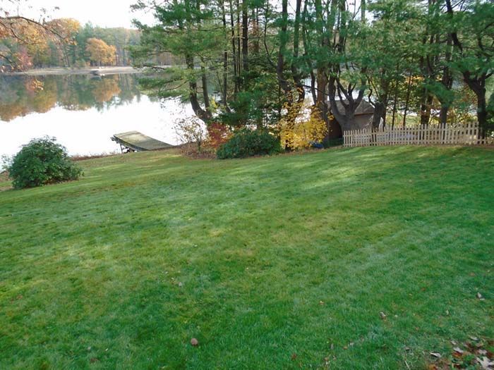 A lush green lawn with a lake in the background