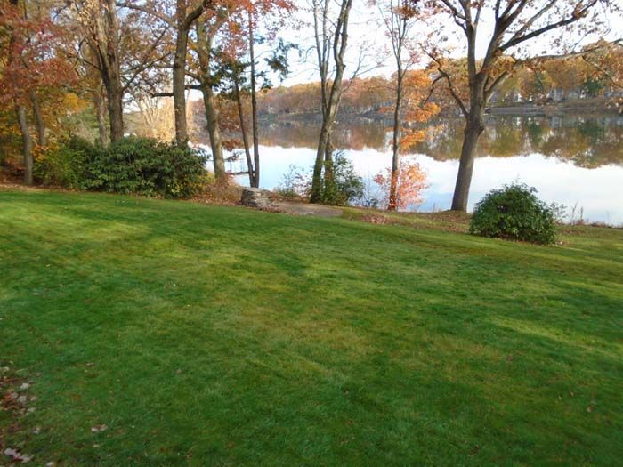 A lush green lawn with trees and a lake in the background.