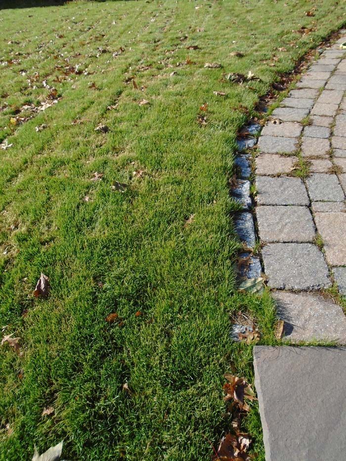 A brick walkway going through a lush green field of grass.