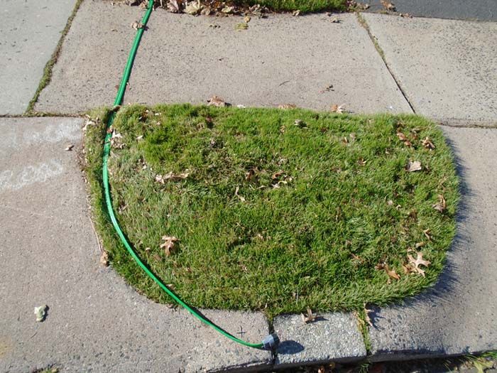 A green hose is attached to a patch of grass on the sidewalk