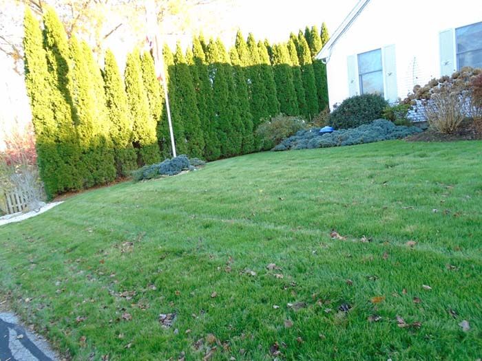 A lush green lawn in front of a white house