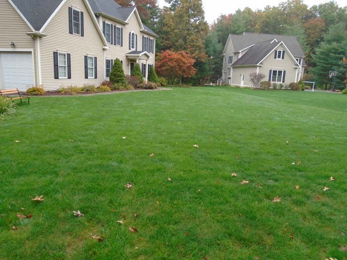 A house with a large lawn in front of it
