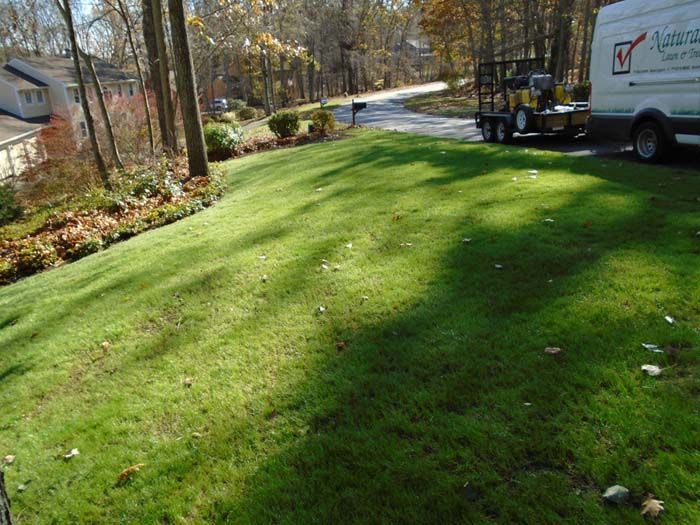 A white van is parked on the side of a lush green lawn.