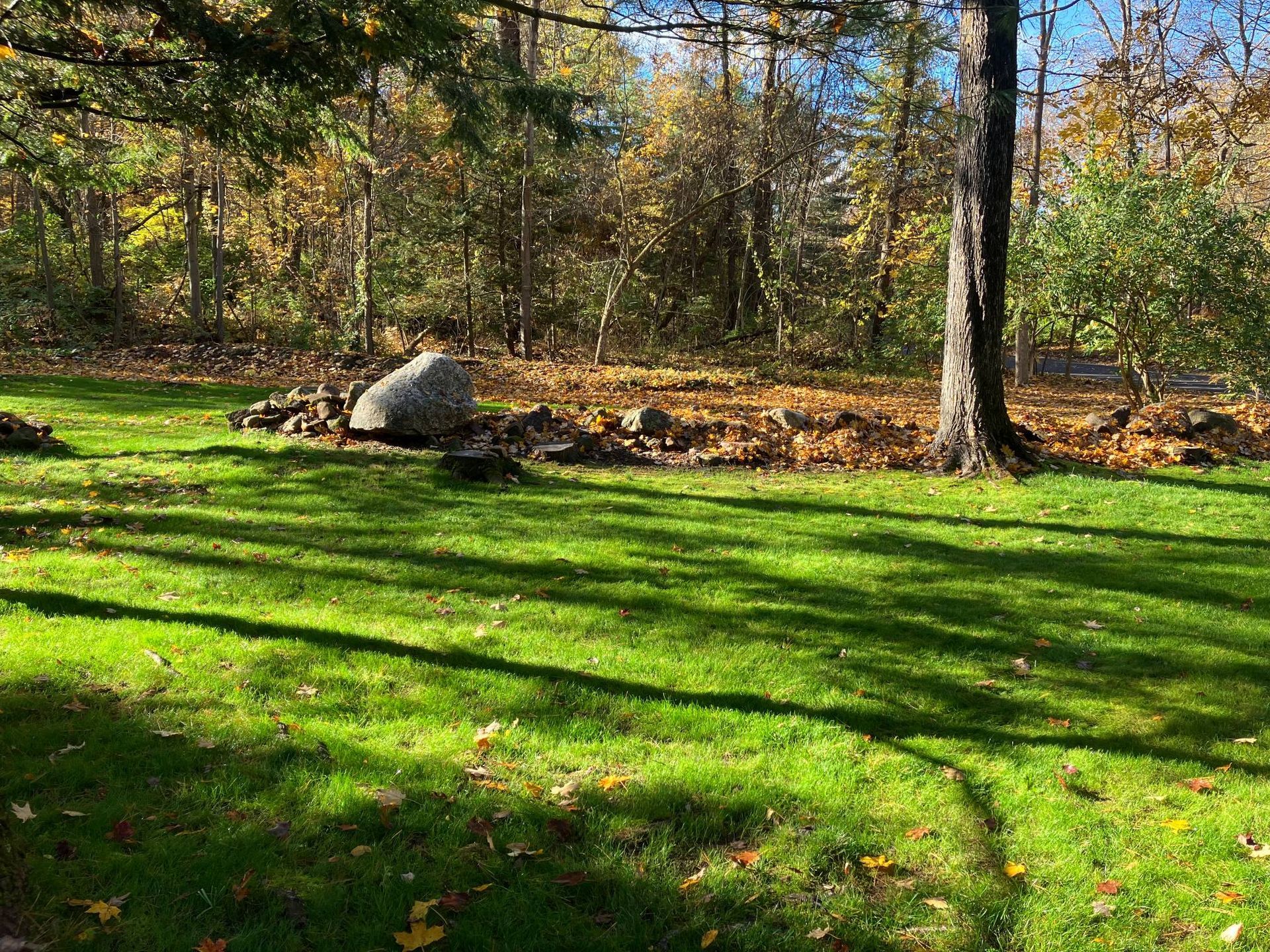 A large rock is sitting in the middle of a lush green field surrounded by trees.