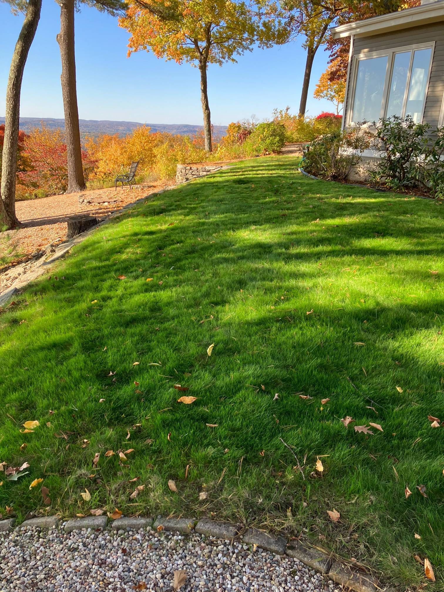 A lush green lawn with trees in the background and a house in the background.