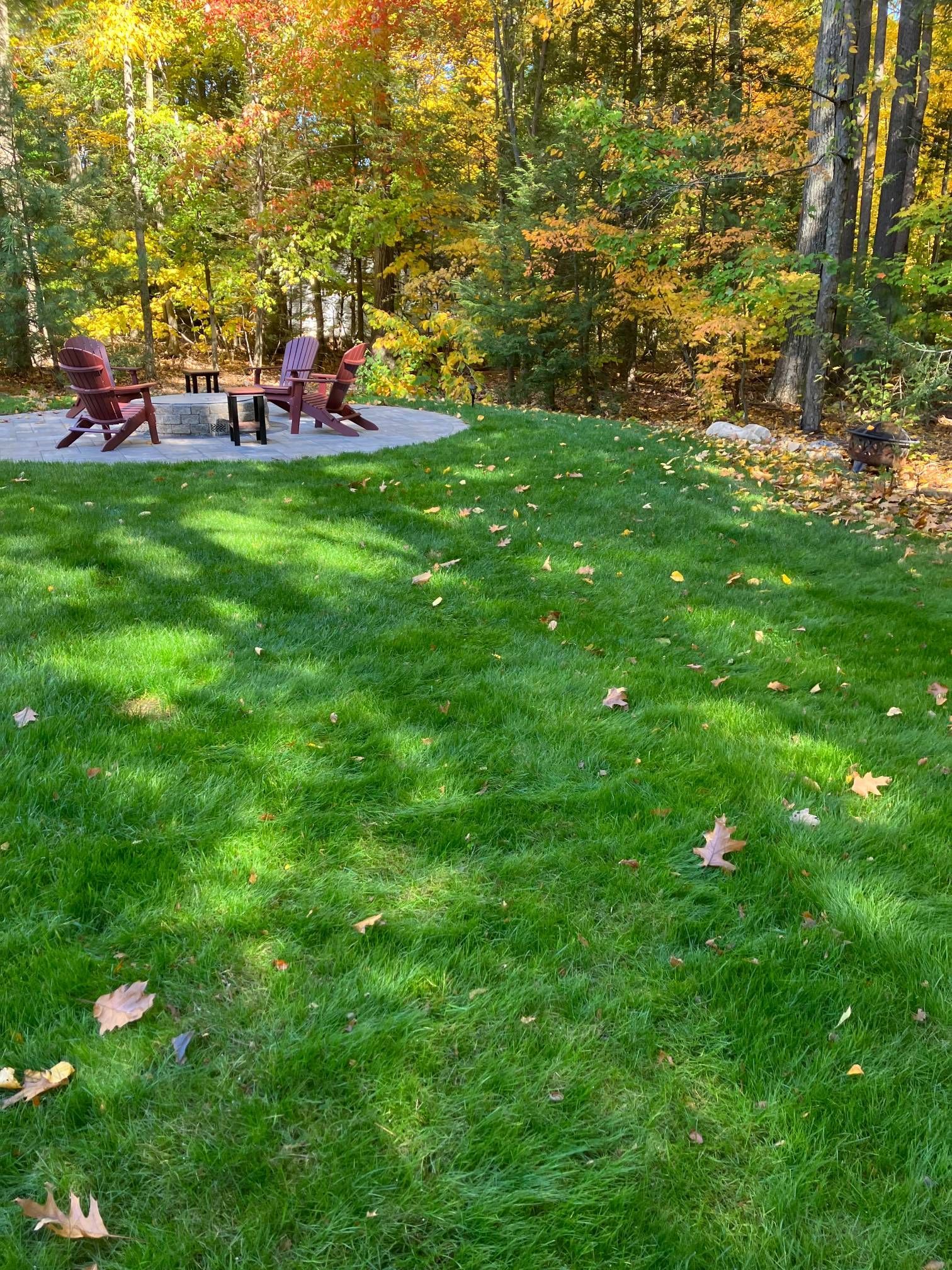 A lush green lawn with a fire pit and chairs in the background.