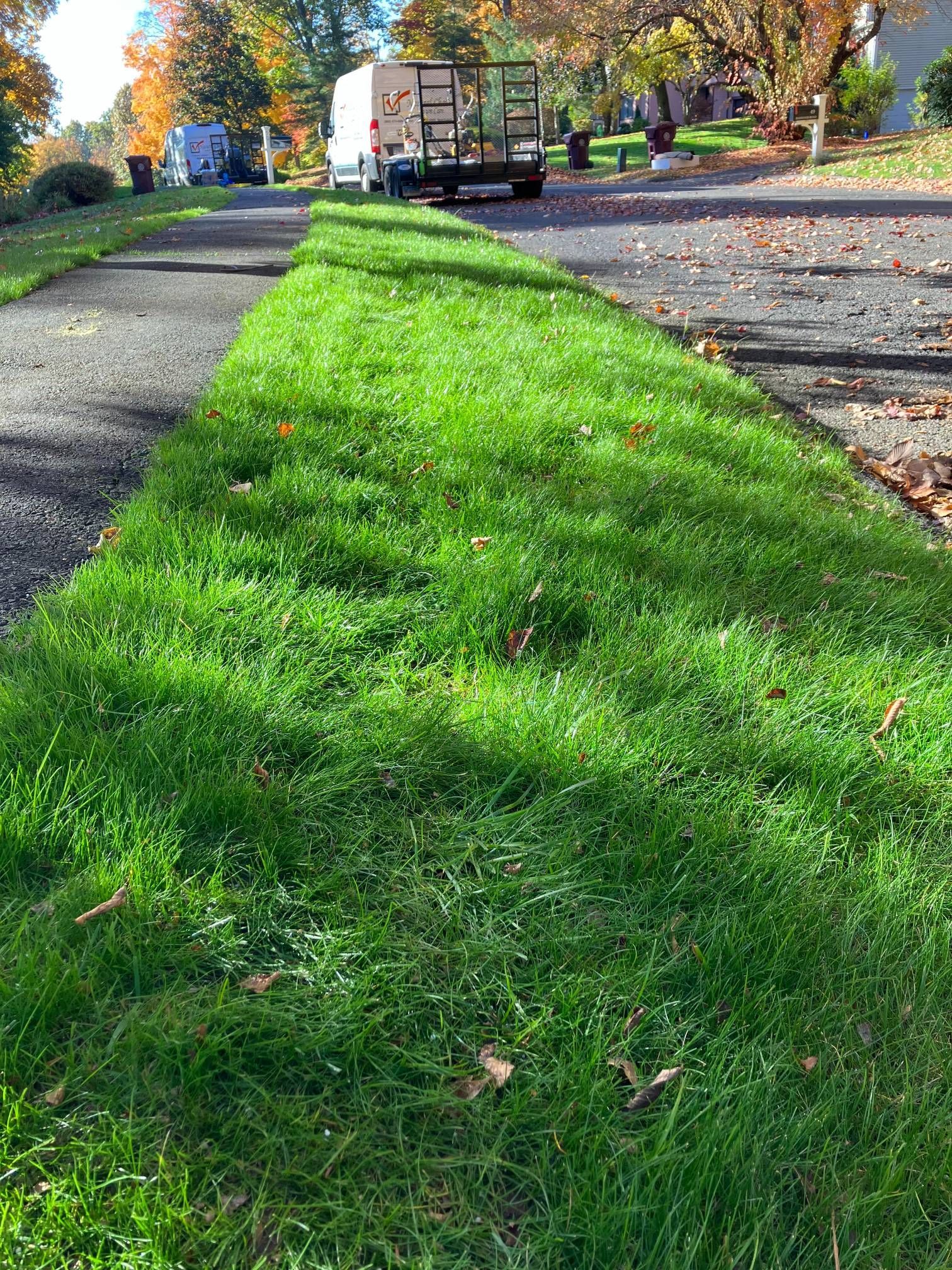 A truck is parked on the side of the road next to a lush green lawn.