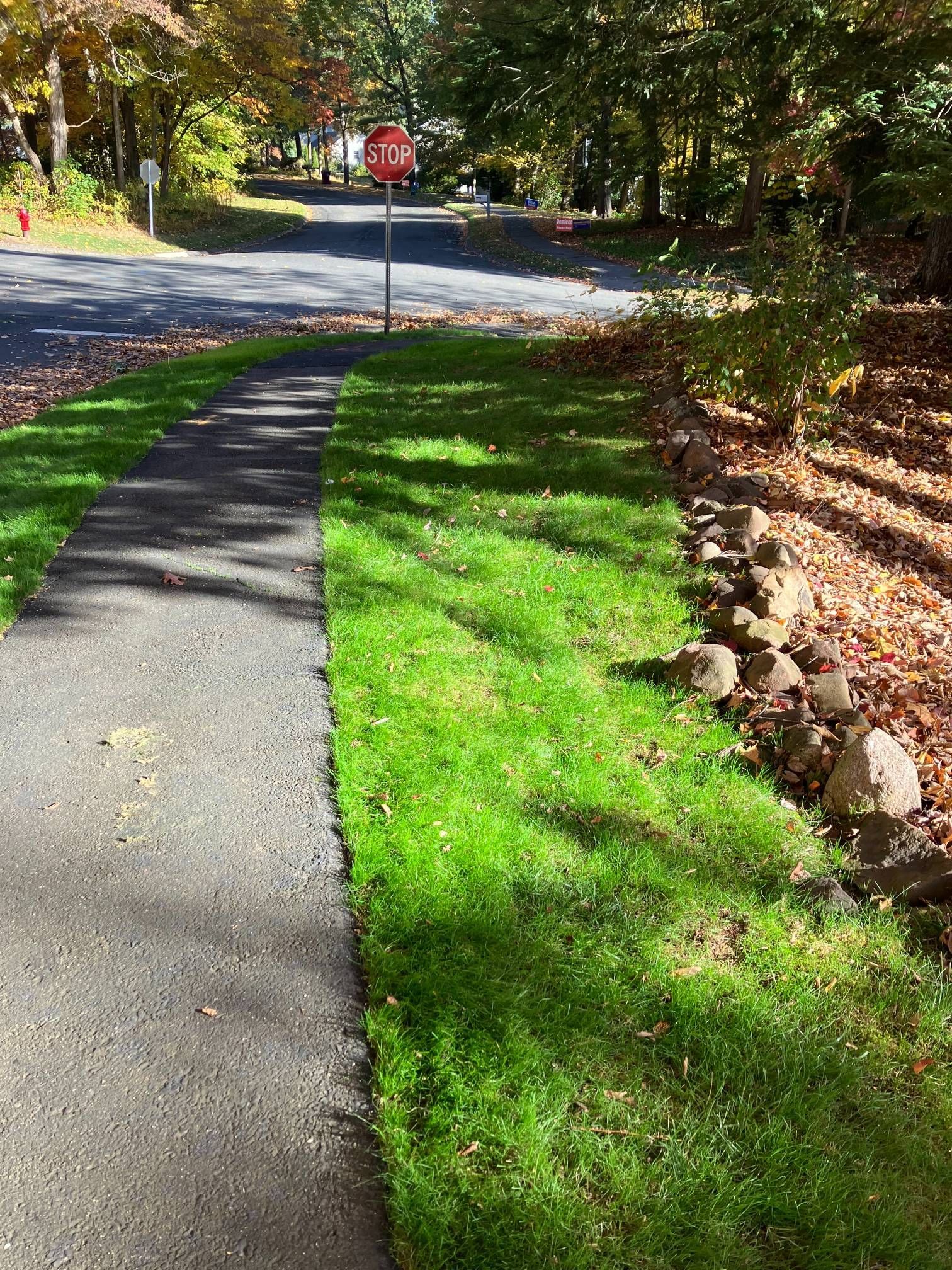 There is a stop sign on the side of the road.