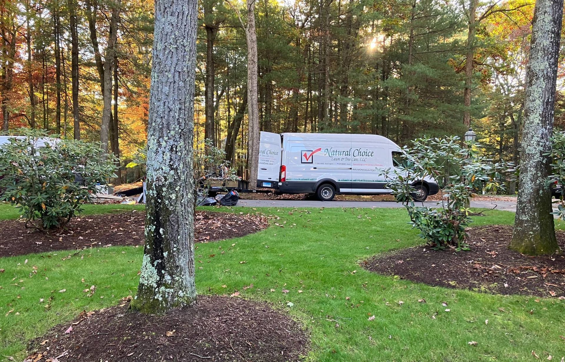 A white van is parked in the middle of a lush green park.