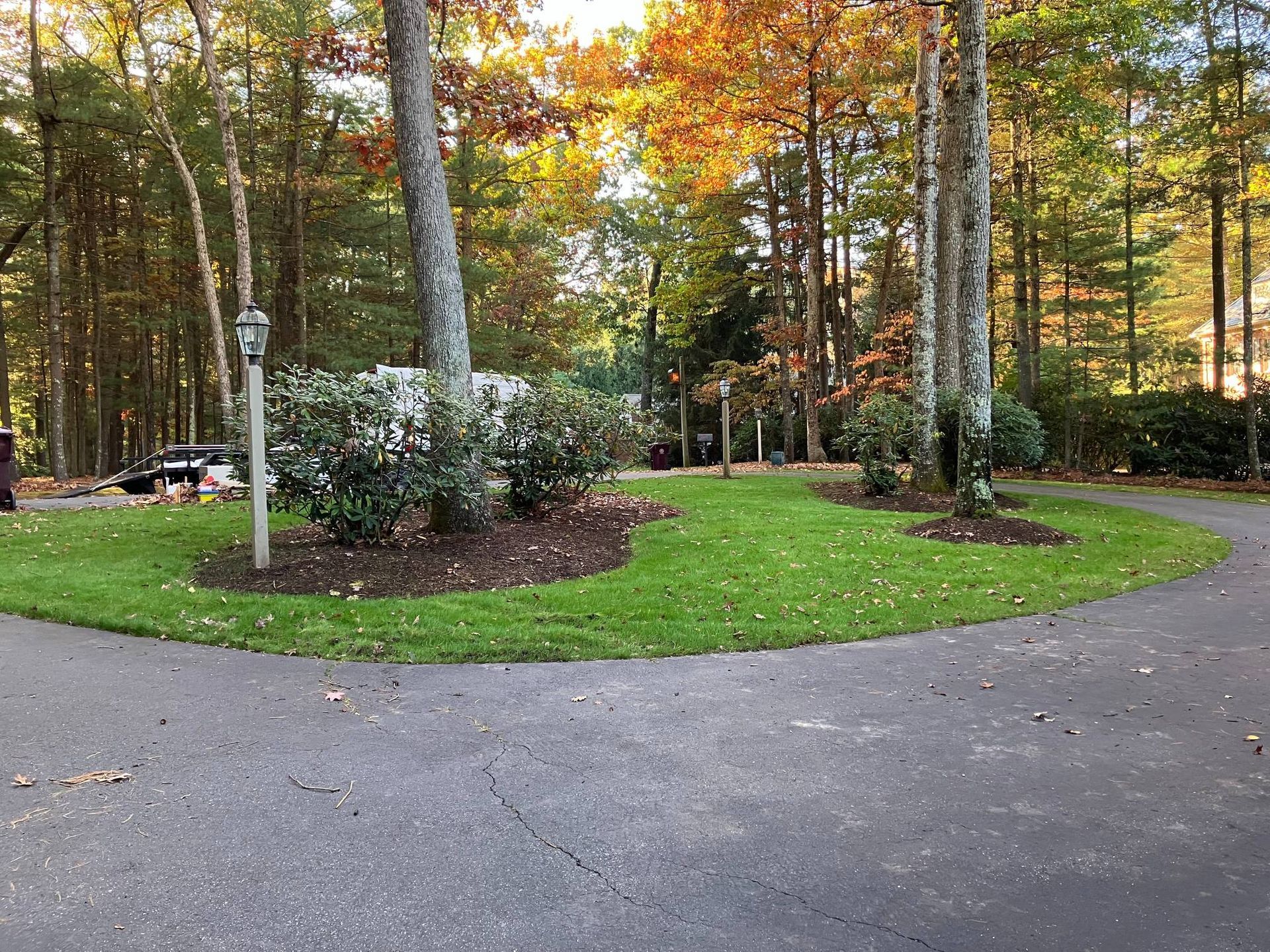 A circular driveway surrounded by trees and grass in the middle of a forest.