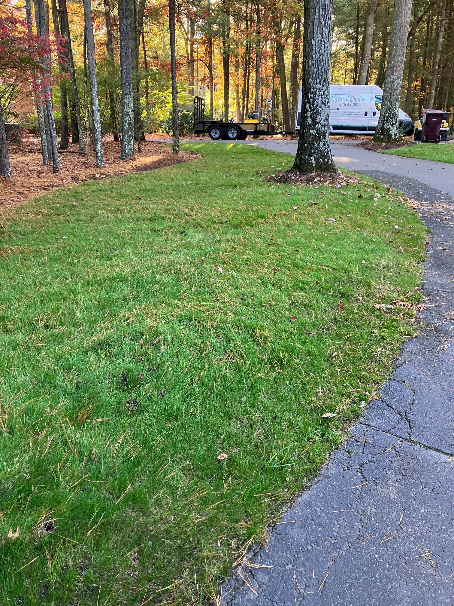 A white van is parked on the side of the road next to a lush green lawn.