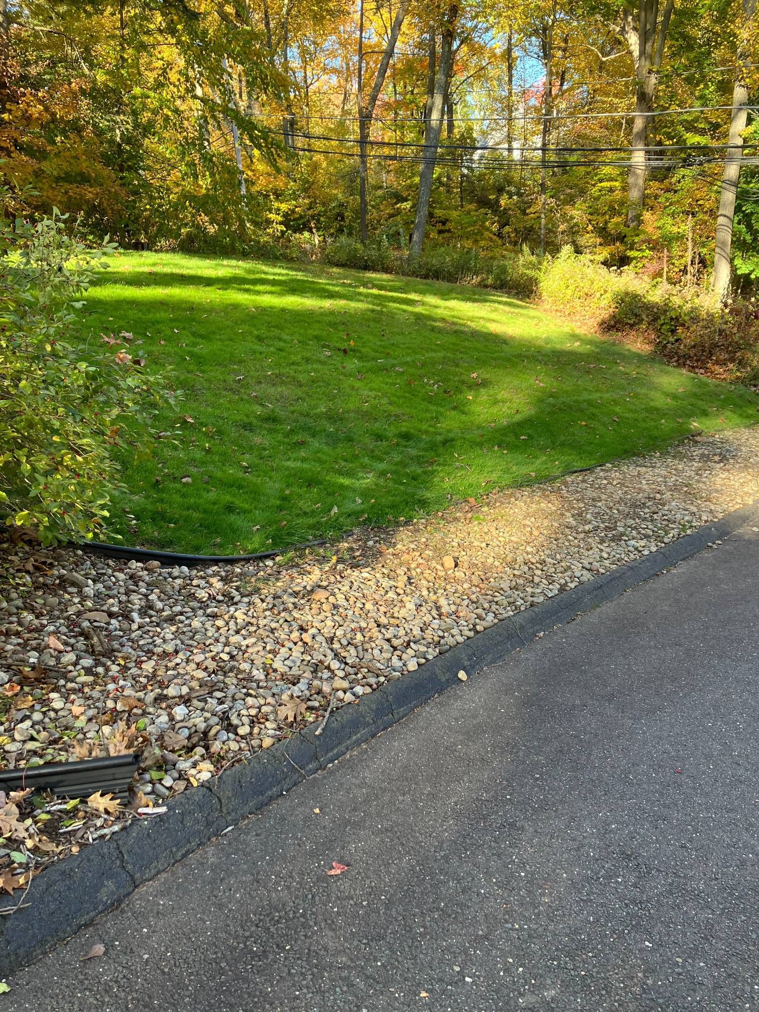 A gravel driveway leading to a lush green field with trees in the background.