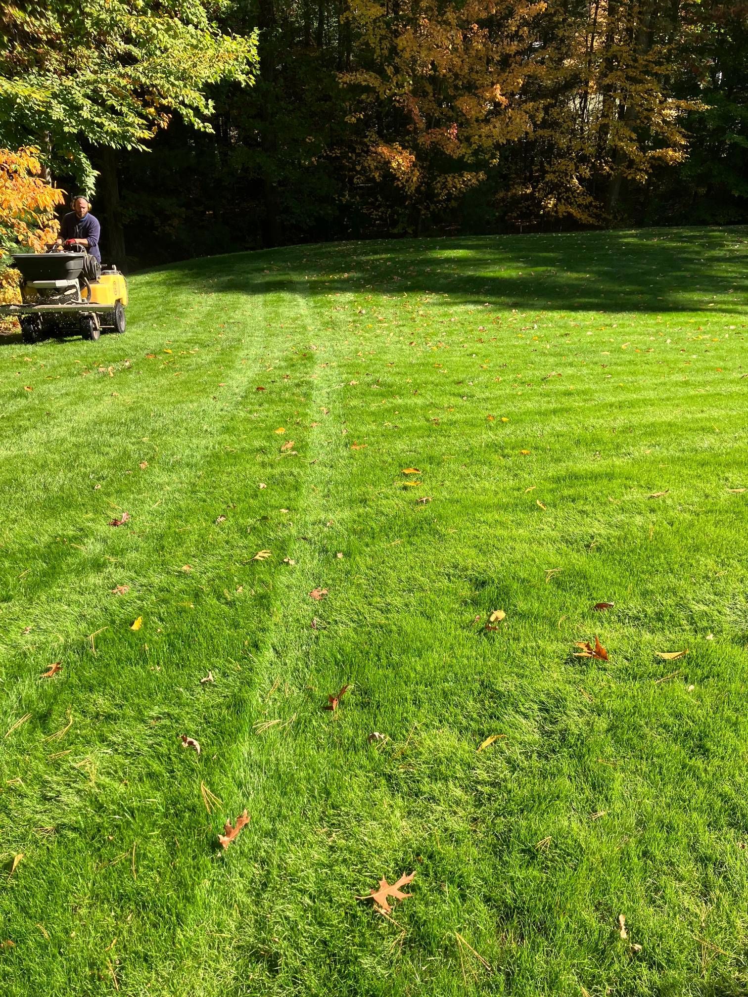 A man is riding a lawn mower on a lush green lawn.