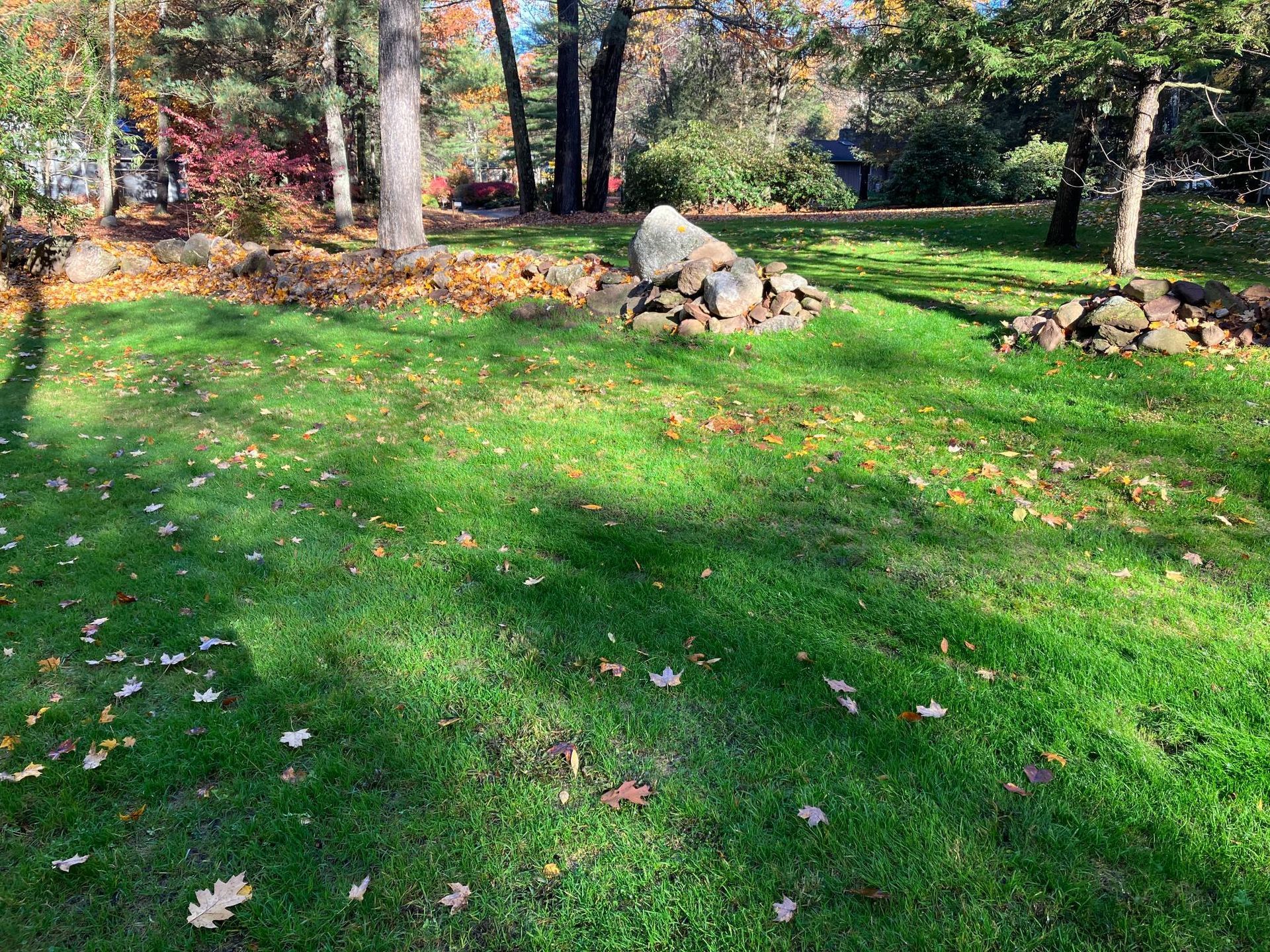 A lush green lawn with trees and rocks in the background.